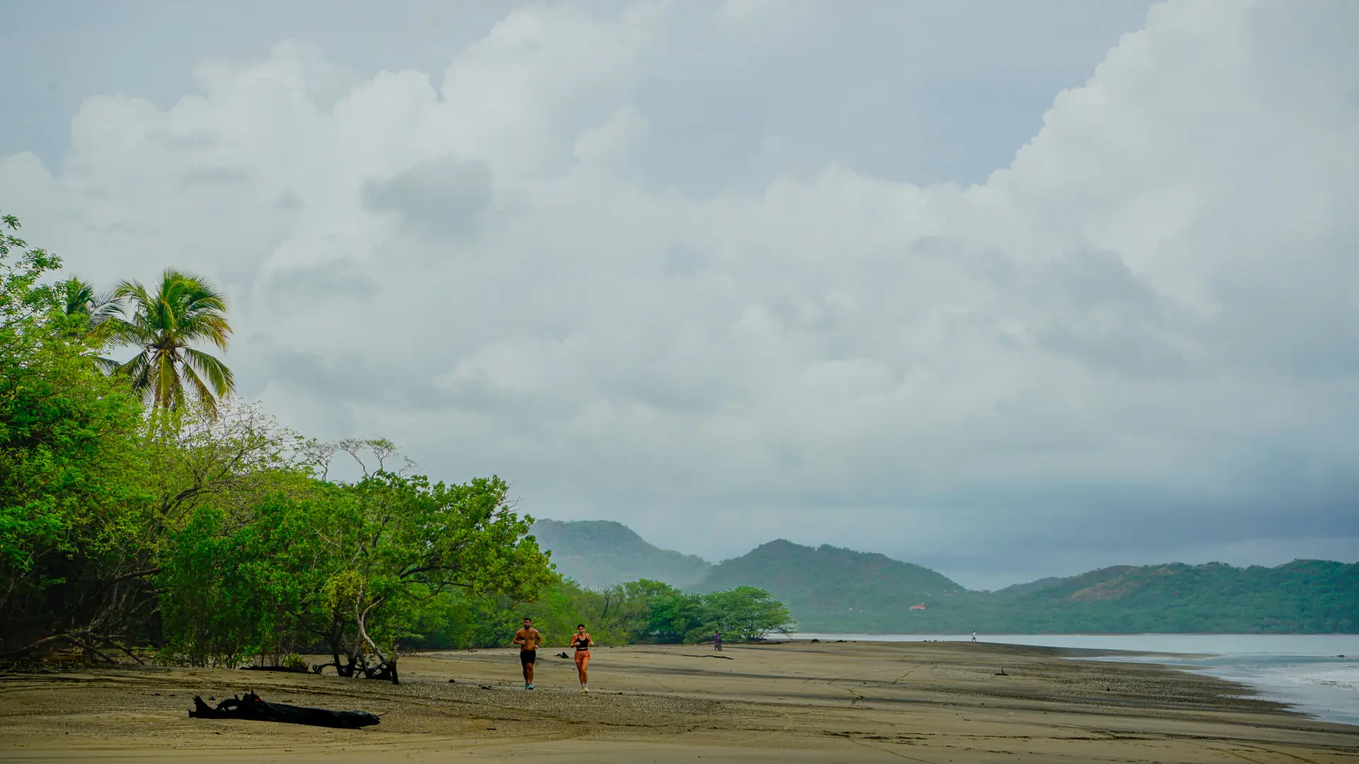 People walking on a wide calm beach in soft morning light