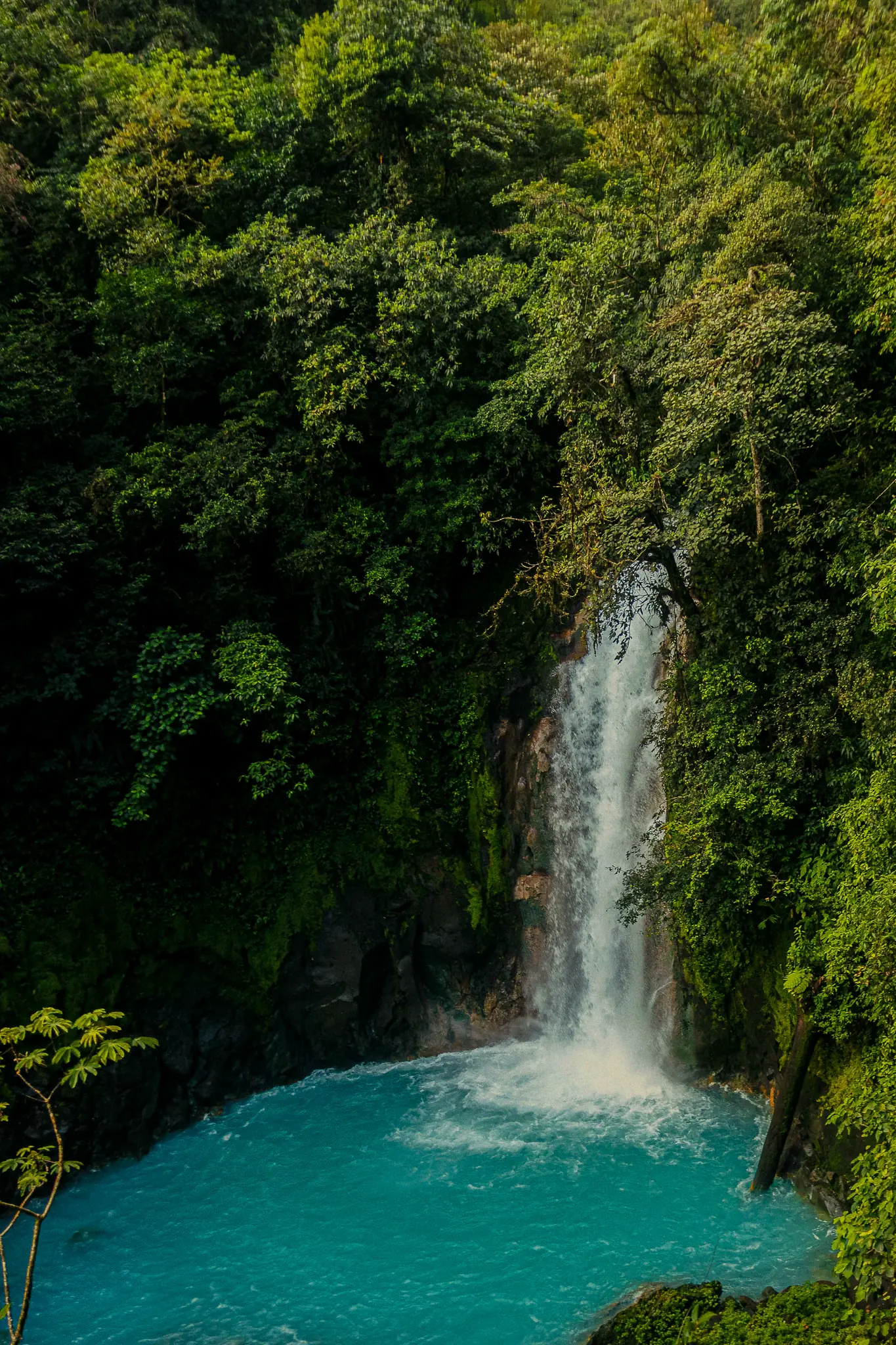 Waterfall pouring into a jungle pool